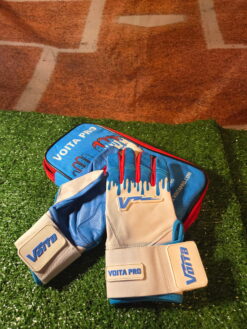 White and Blue Batting Gloves